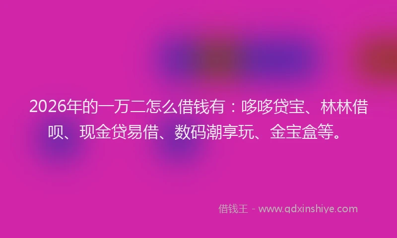 2026年的一万二怎么借钱有：哆哆贷宝、林林借呗、现金贷易借、数码潮享玩、金宝盒等。