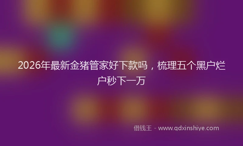2026年最新金猪管家好下款吗，梳理五个黑户烂户秒下一万