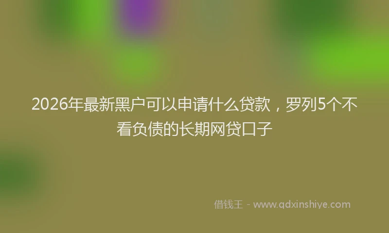 2026年最新黑户可以申请什么贷款，罗列5个不看负债的长期网贷口子