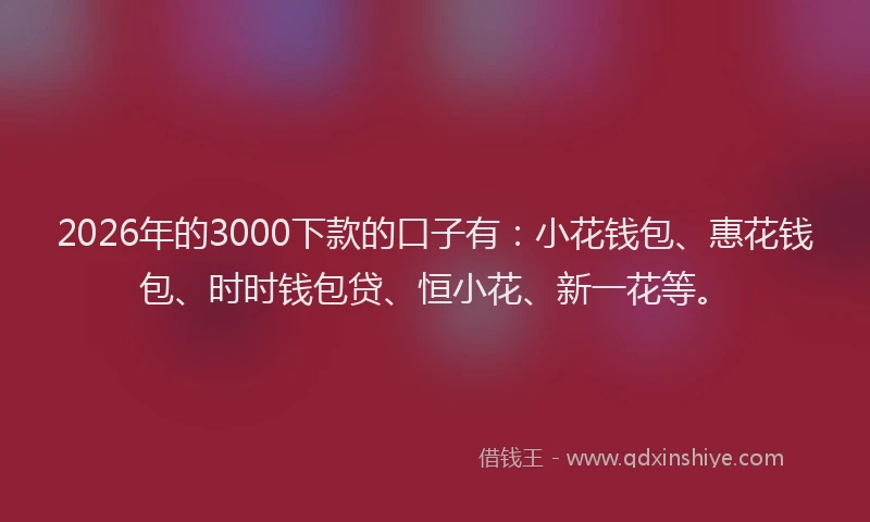 2026年的3000下款的口子有：小花钱包、惠花钱包、时时钱包贷、恒小花、新一花等。