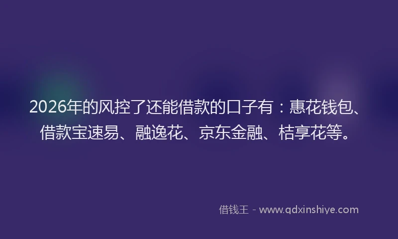 2026年的风控了还能借款的口子有：惠花钱包、借款宝速易、融逸花、京东金融、桔享花等。