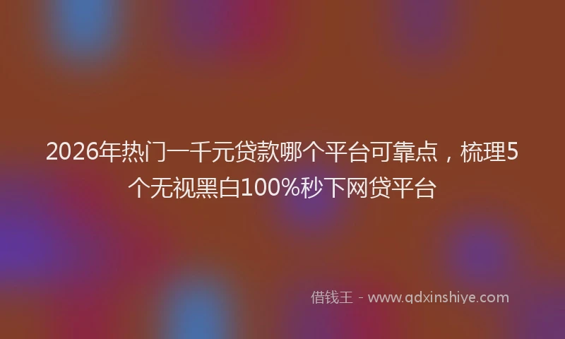 2026年热门一千元贷款哪个平台可靠点，梳理5个无视黑白100%秒下网贷平台