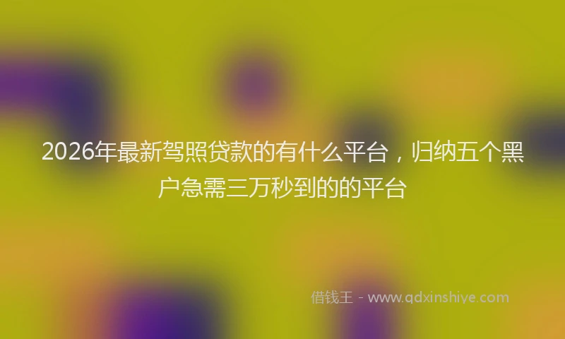 2026年最新驾照贷款的有什么平台，归纳五个黑户急需三万秒到的的平台