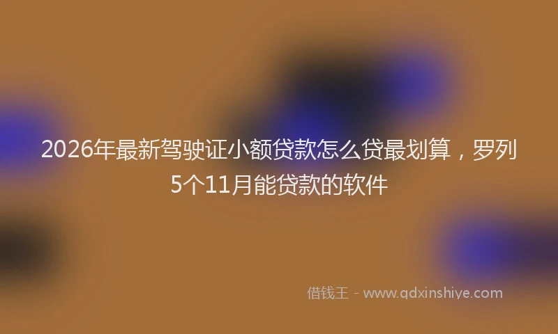 2026年最新驾驶证小额贷款怎么贷最划算，罗列5个11月能贷款的软件