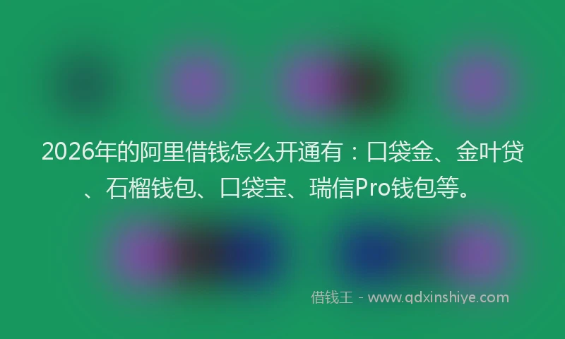 2026年的阿里借钱怎么开通有：口袋金、金叶贷、石榴钱包、口袋宝、瑞信Pro钱包等。