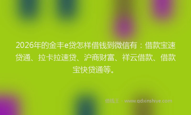2026年的金丰e贷怎样借钱到微信有：借款宝速贷通、拉卡拉速贷、沪商财富、祥云借款、借款宝快贷通等。