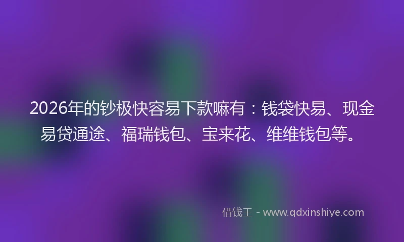 2026年的钞极快容易下款嘛有：钱袋快易、现金易贷通途、福瑞钱包、宝来花、维维钱包等。