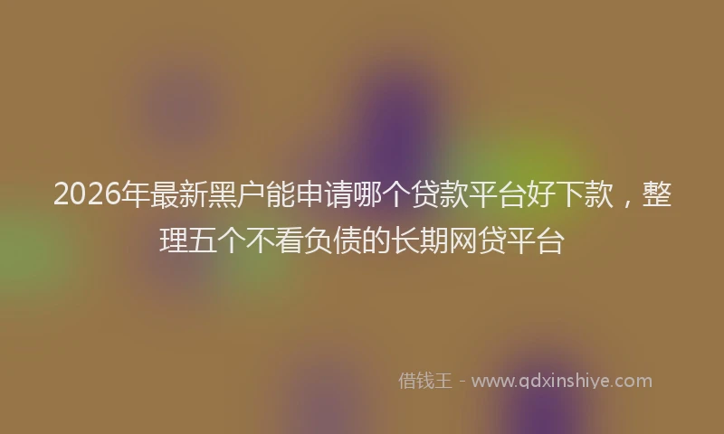 2026年最新黑户能申请哪个贷款平台好下款，整理五个不看负债的长期网贷平台