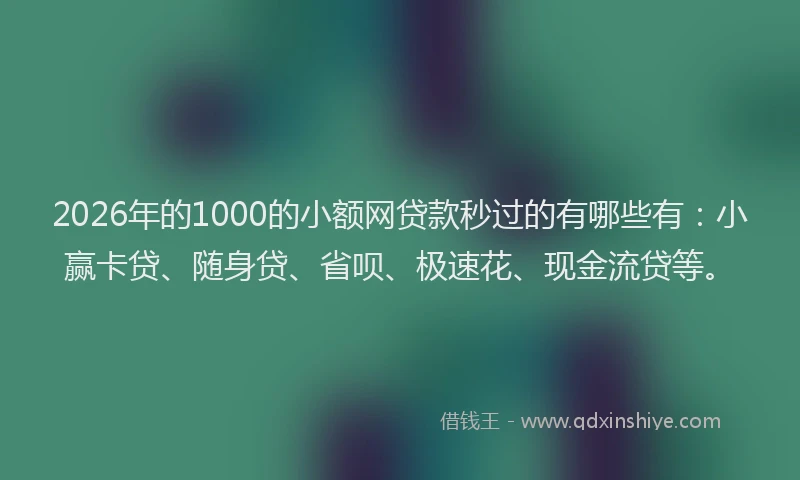 2026年的1000的小额网贷款秒过的有哪些有：小赢卡贷、随身贷、省呗、极速花、现金流贷等。