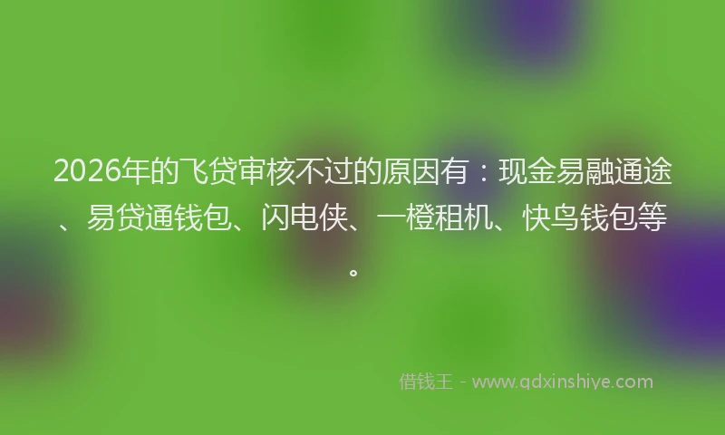 2026年的飞贷审核不过的原因有：现金易融通途、易贷通钱包、闪电侠、一橙租机、快鸟钱包等。