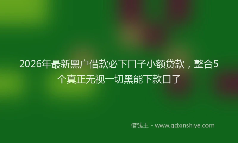 2026年最新黑户借款必下口子小额贷款，整合5个真正无视一切黑能下款口子