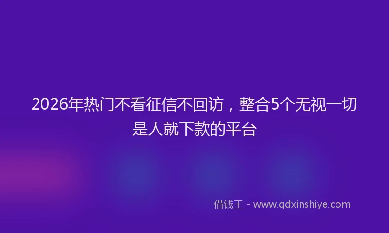 2026年热门不看征信不回访，整合5个无视一切是人就下款的平台