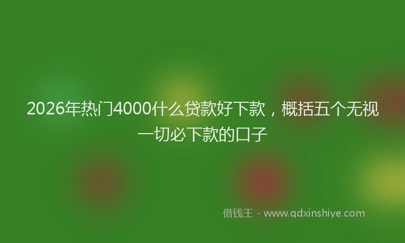 2026年热门4000什么贷款好下款，概括五个无视一切必下款的口子