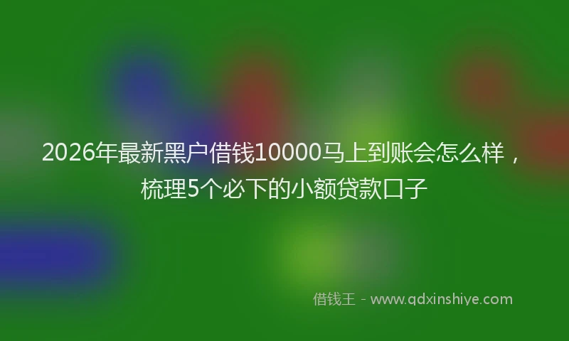 2026年最新黑户借钱10000马上到账会怎么样，梳理5个必下的小额贷款口子