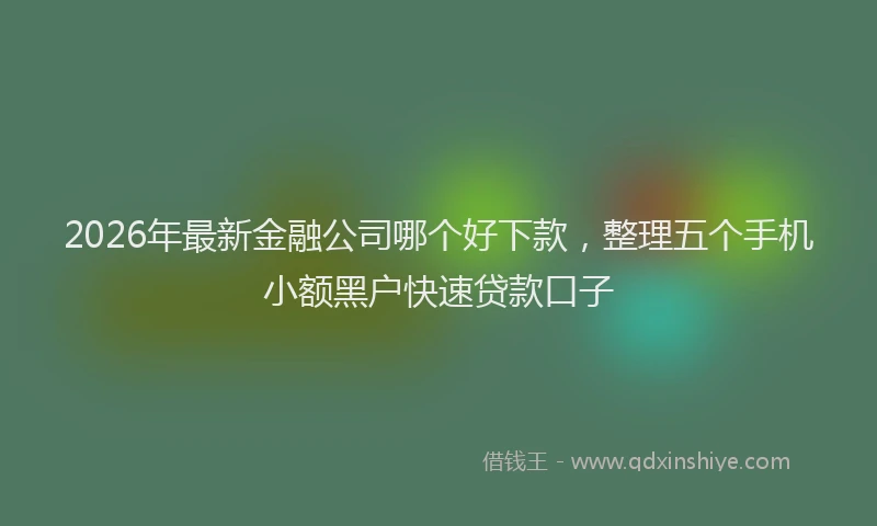 2026年最新金融公司哪个好下款，整理五个手机小额黑户快速贷款口子