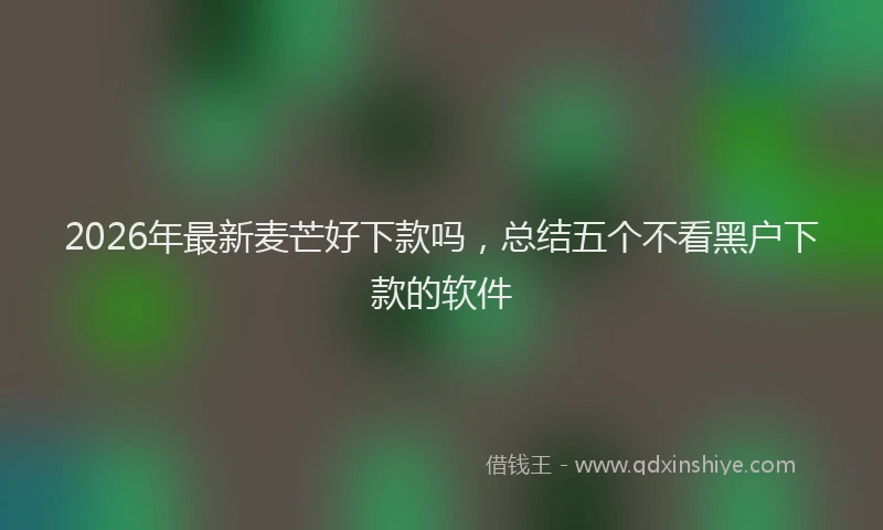 2026年最新麦芒好下款吗，总结五个不看黑户下款的软件