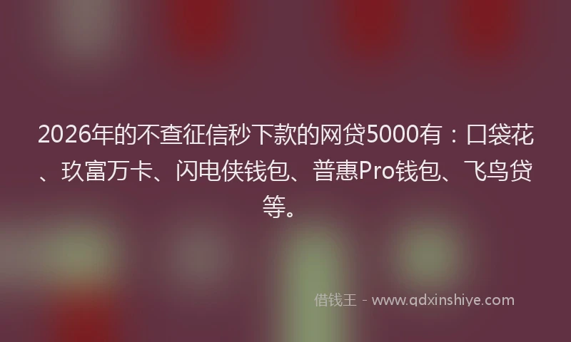 2026年的不查征信秒下款的网贷5000有：口袋花、玖富万卡、闪电侠钱包、普惠Pro钱包、飞鸟贷等。