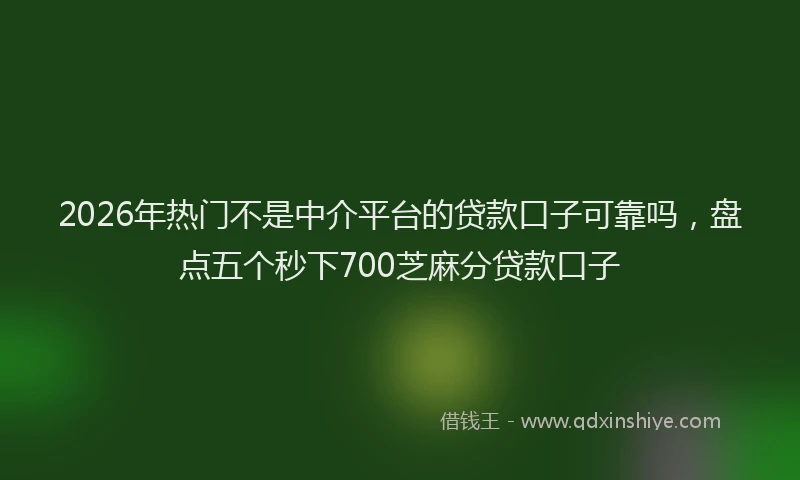 2026年热门不是中介平台的贷款口子可靠吗，盘点五个秒下700芝麻分贷款口子