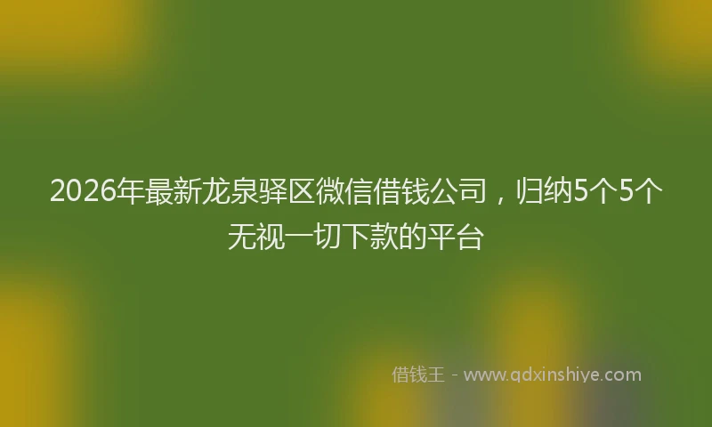 2026年最新龙泉驿区微信借钱公司，归纳5个5个无视一切下款的平台