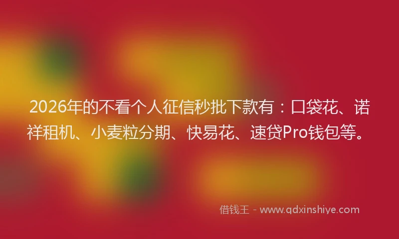 2026年的不看个人征信秒批下款有：口袋花、诺祥租机、小麦粒分期、快易花、速贷Pro钱包等。