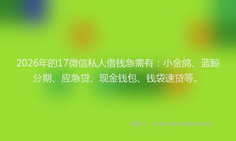 2026年的17微信私人借钱急需有：小金鸽、蓝鲸分期、应急贷、现金钱包、钱袋速贷等。