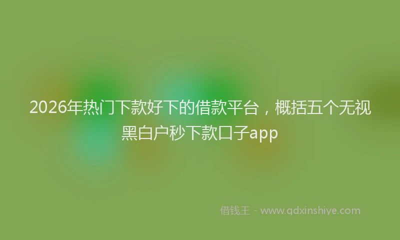 2026年热门下款好下的借款平台，概括五个无视黑白户秒下款口子app
