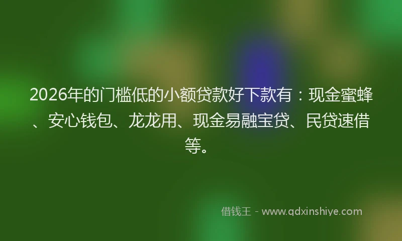 2026年的门槛低的小额贷款好下款有：现金蜜蜂、安心钱包、龙龙用、现金易融宝贷、民贷速借等。