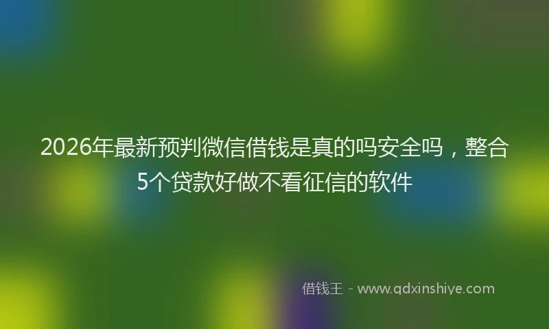 2026年最新预判微信借钱是真的吗安全吗，整合5个贷款好做不看征信的软件