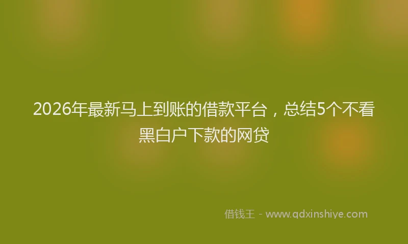 2026年最新马上到账的借款平台，总结5个不看黑白户下款的网贷