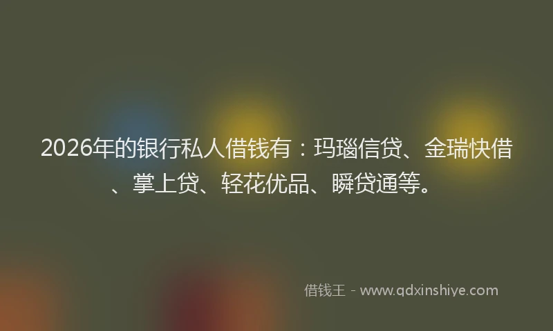 2026年的银行私人借钱有：玛瑙信贷、金瑞快借、掌上贷、轻花优品、瞬贷通等。