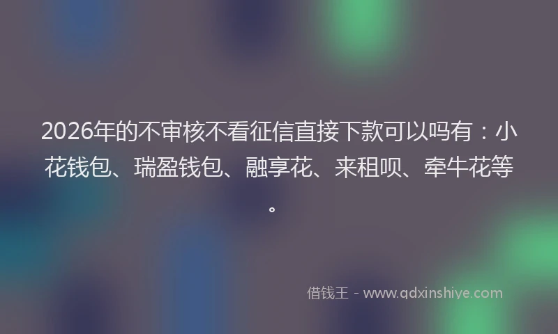 2026年的不审核不看征信直接下款可以吗有：小花钱包、瑞盈钱包、融享花、来租呗、牵牛花等。