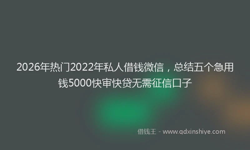 2026年热门2022年私人借钱微信，总结五个急用钱5000快审快贷无需征信口子