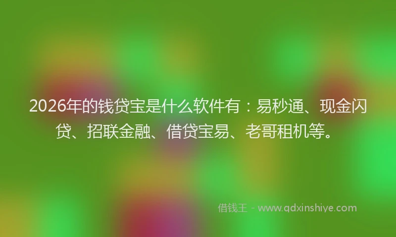 2026年的钱贷宝是什么软件有：易秒通、现金闪贷、招联金融、借贷宝易、老哥租机等。