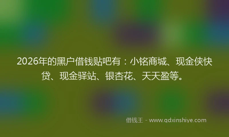 2026年的黑户借钱贴吧有：小铭商城、现金侠快贷、现金驿站、银杏花、天天盈等。