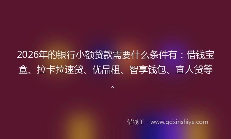2026年的银行小额贷款需要什么条件有：借钱宝盒、拉卡拉速贷、优品租、智享钱包、宜人贷等。