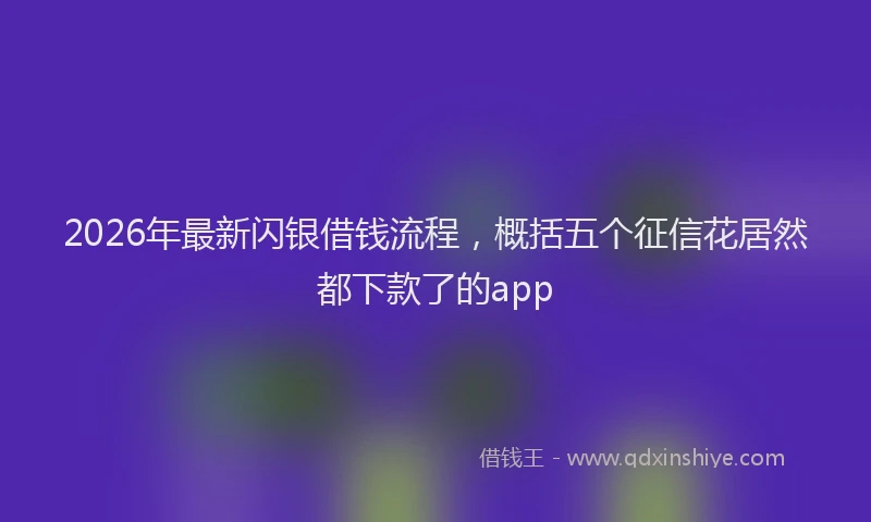 2026年最新闪银借钱流程，概括五个征信花居然都下款了的app