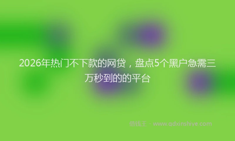 2026年热门不下款的网贷，盘点5个黑户急需三万秒到的的平台