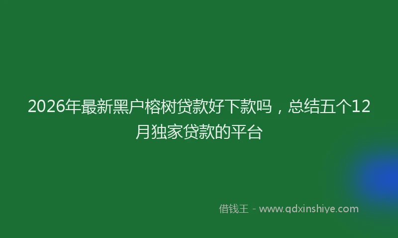 2026年最新黑户榕树贷款好下款吗，总结五个12月独家贷款的平台