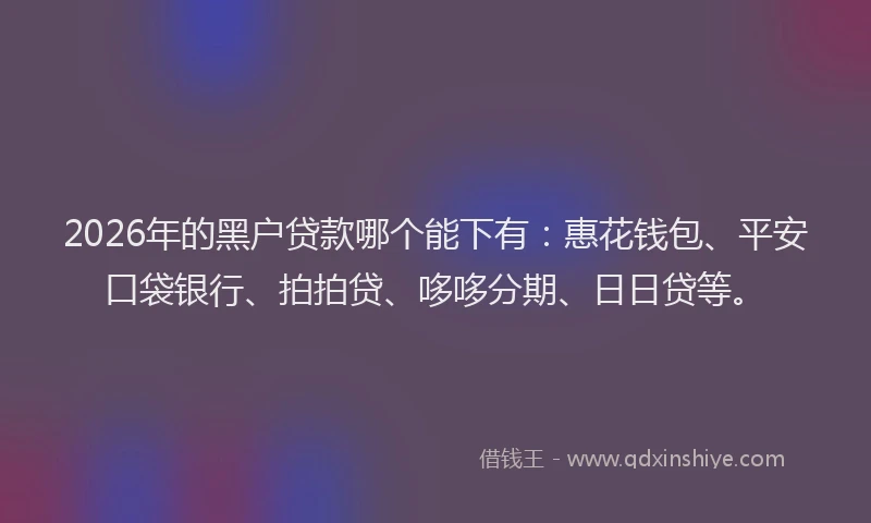 2026年的黑户贷款哪个能下有：惠花钱包、平安口袋银行、拍拍贷、哆哆分期、日日贷等。