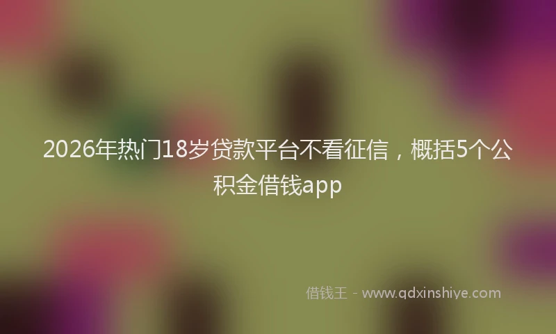 2026年热门18岁贷款平台不看征信，概括5个公积金借钱app
