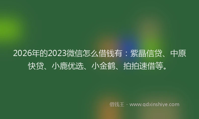 2026年的2023微信怎么借钱有：紫晶信贷、中原快贷、小鹿优选、小金鹤、拍拍速借等。