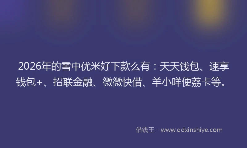 2026年的雪中优米好下款么有：天天钱包、速享钱包+、招联金融、微微快借、羊小咩便荔卡等。