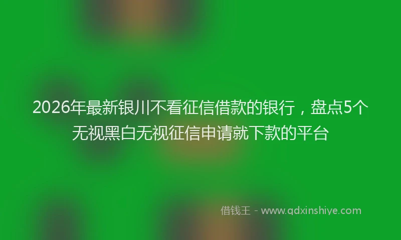 2026年最新银川不看征信借款的银行，盘点5个无视黑白无视征信申请就下款的平台