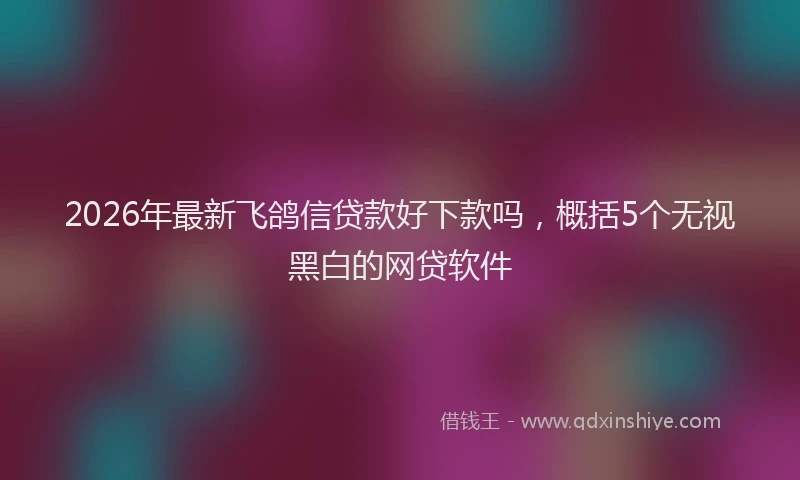 2026年最新飞鸽信贷款好下款吗，概括5个无视黑白的网贷软件