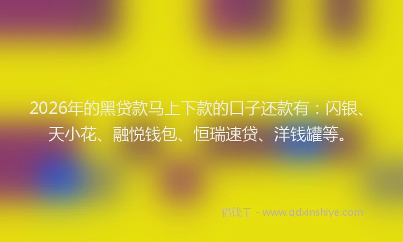 2026年的黑贷款马上下款的口子还款有：闪银、天小花、融悦钱包、恒瑞速贷、洋钱罐等。