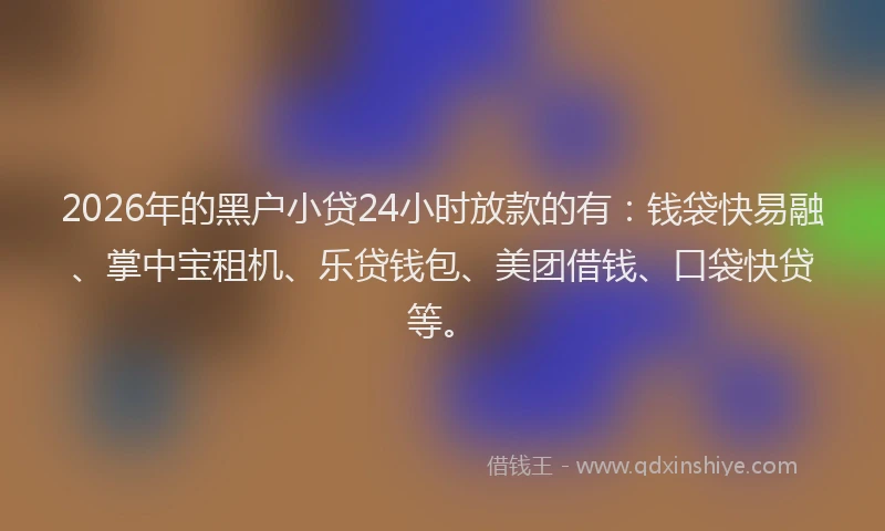 2026年的黑户小贷24小时放款的有：钱袋快易融、掌中宝租机、乐贷钱包、美团借钱、口袋快贷等。