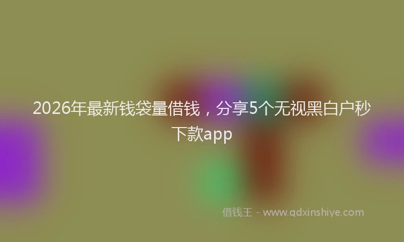 2026年最新钱袋量借钱，分享5个无视黑白户秒下款app
