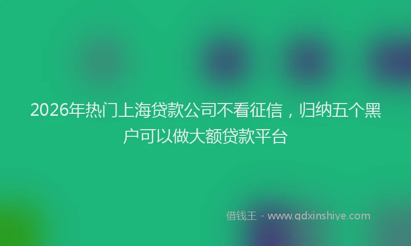 2026年热门上海贷款公司不看征信，归纳五个黑户可以做大额贷款平台
