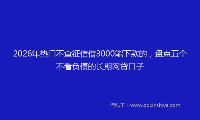 2026年热门不查征信借3000能下款的，盘点五个不看负债的长期网贷口子