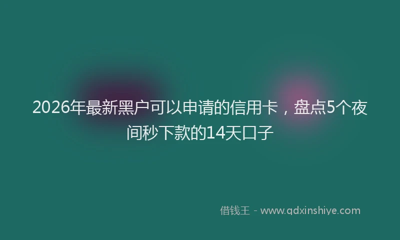 2026年最新黑户可以申请的信用卡，盘点5个夜间秒下款的14天口子